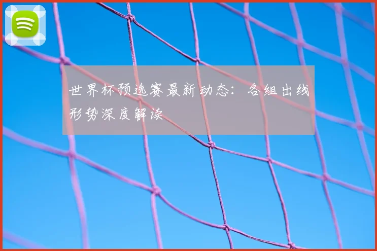 世界杯预选赛最新动态:各组出线形势深度解读