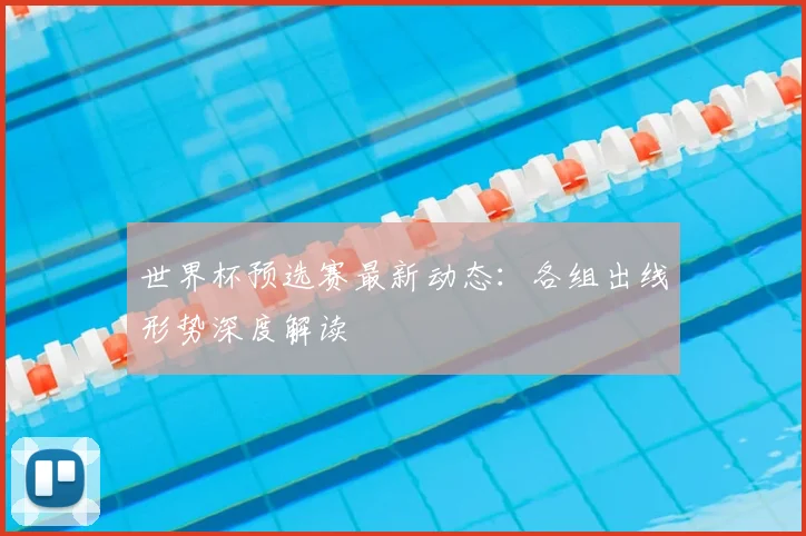 世界杯预选赛最新动态:各组出线形势深度解读